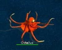 octalus